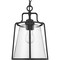 Progress Lighting Benton Harbor Collection One-Light Hanging Lantern with DURASHIELD P550065-031 - alternate 8